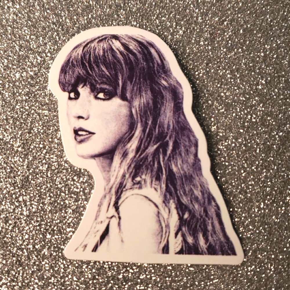 10/$10 Taylor Swift REPUTATION Waterproof Sticker